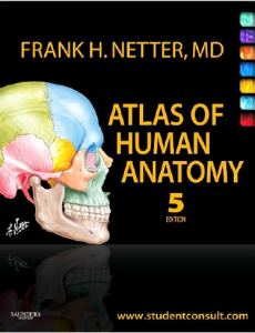 anatomy atlas free download